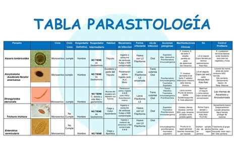 Tabla ParasitologÍa Comparativa Thisismedicine Udocz