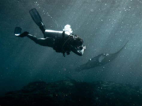 Scuba Diving Bali Nusa Lembongan Great Diving Around Nusa Flickr