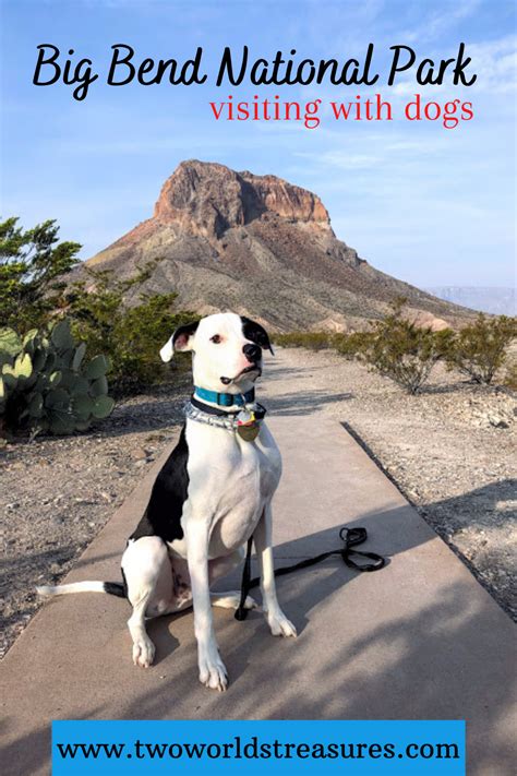 Dogs are not allowed in national parks, nature reserves or wildlife sanctuaries except with express written approval. Visiting Big Bend National Park With Dogs - TWO WORLDS ...