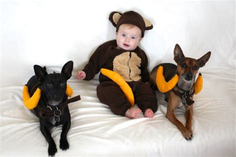Happy Halloween From A Baby Monkey And A Bunch Of Bananas
