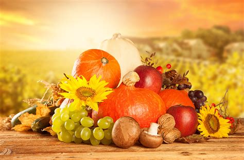 ✓ gratuiti a scopo commerciale ✓ immagini di alta qualità. Fonds d'ecran Citrouille Automne Nourriture télécharger photo