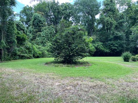 Online Real Estate Auction, 56 and 108 Dabney Drive, Vicksburg, MS