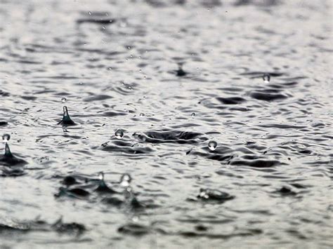 Check spelling or type a new query. Wateroverlast door betegelde tuinen | Tuincentrum van Kleinwee