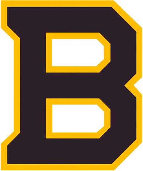 Boston Bruins Special Event Logo National Hockey League Nhl Chris Creamers Sports Logos