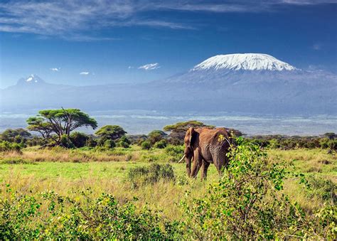 Kilimandjaro Nomadéa Évasion