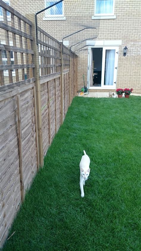 So, i started looking at diy cat proof fencing. Standard Fence-Top Barrier | Diy cat enclosure, Cat fence ...