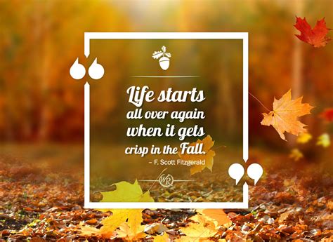 15 Inspirational Quotes For Fall Best Quote Hd