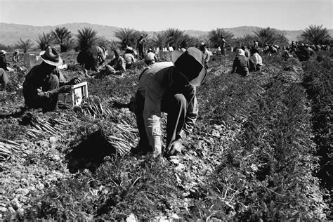 United Farm Workers Union Strike 1965 Technology And Information Portal