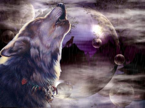 45 Free Wolf Screensavers And Wallpaper