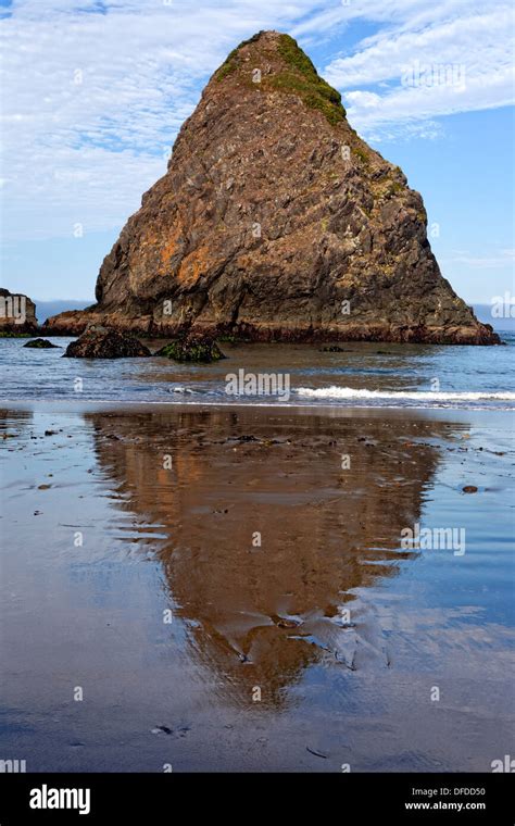 Whaleshead Rock Reflects In The Sands Of Whaleshead Beach In Southern