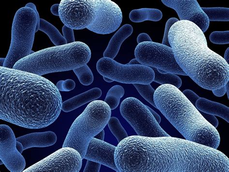 Microbes Wallpapers Top Free Microbes Backgrounds Wallpaperaccess