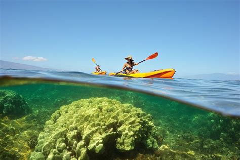 Kayak And Snorkel Maui West Shore 2023 Cool Hawaii