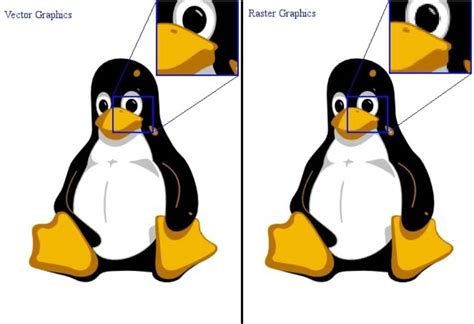 Растровая графика примеры Растровое и векторное изображение