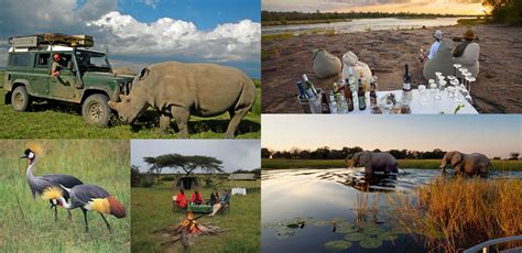 Sustainable Tourism Safari South Africa Travel News Best Tourist Places In The World
