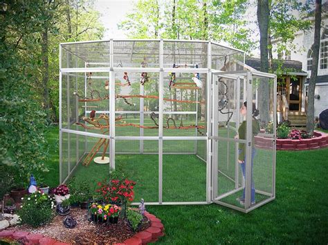 How To Build An Outdoor Bird Aviary Pet Bird Cage Bird Aviary Diy