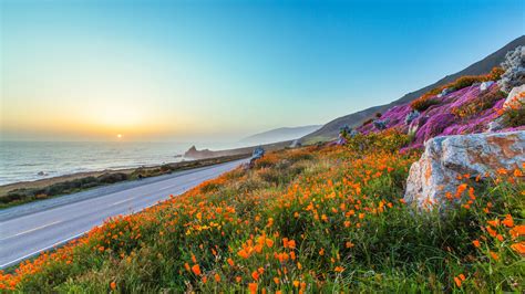 Evening Sunset Road Orange Flowers Poppies Rocks Sea Mountains