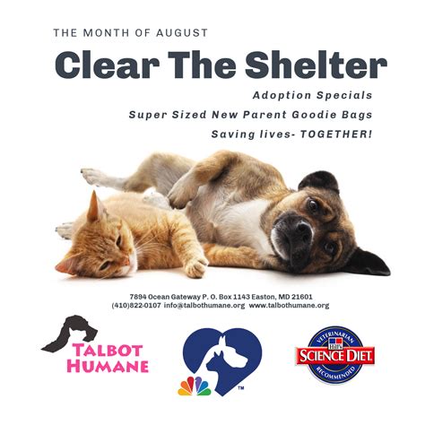 Clear The Shelter August 2020 Talbot Humane