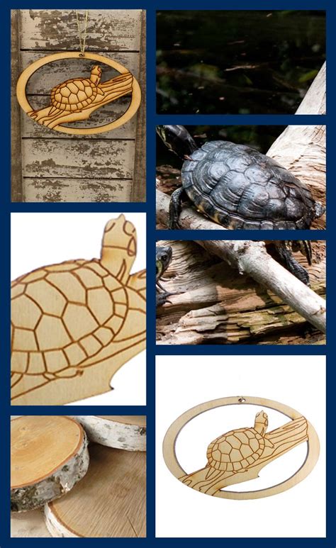 Personalized Turtle Ornament Gifts For Turtle Lovers Turtle