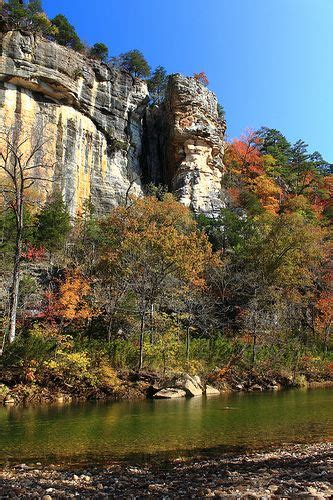 Autumn Color Along Buffalo River At Downstream End Of Roark Bluff