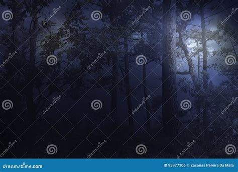 La Luna Piena Aumenta Sopra Una Foresta Su Una Notte Nebbiosa