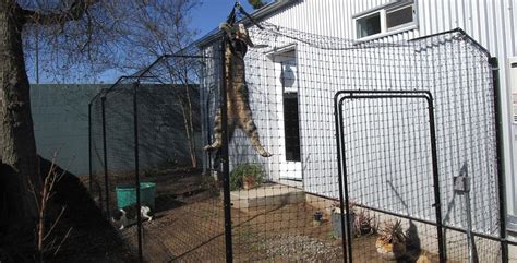 Keeping cats in or out of your yard is almost as difficult as herding them. Outdoor Cat Enclosure Ideas - Purrfect Fence