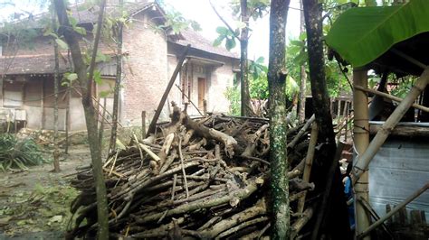 Rumah tropis ini menggunakan kusen kayu supaya terlihat alami. MELIHAT BAGIAN BELAKANG RUMAH KAMI DESA JABUNG PATI yang ...