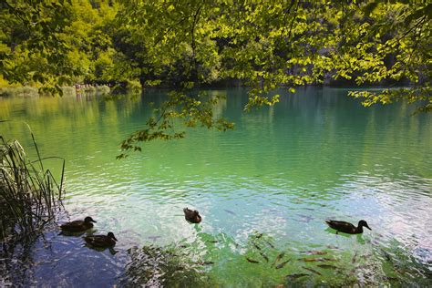 Plitvice Lakes National Park Wildluxe