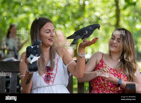 Women Feed Pigeons In St Jamess Park In London Stock Photo Alamy