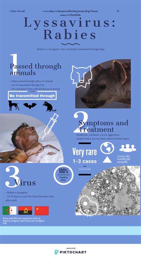 Rabies Infographic: – Chloe Powell’s AP Bio Blogspot