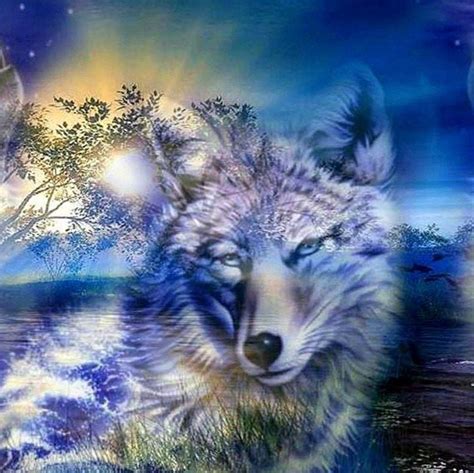 Cool Wolf 1080p Wallpapers Wallpaper 790x789 Download Hd