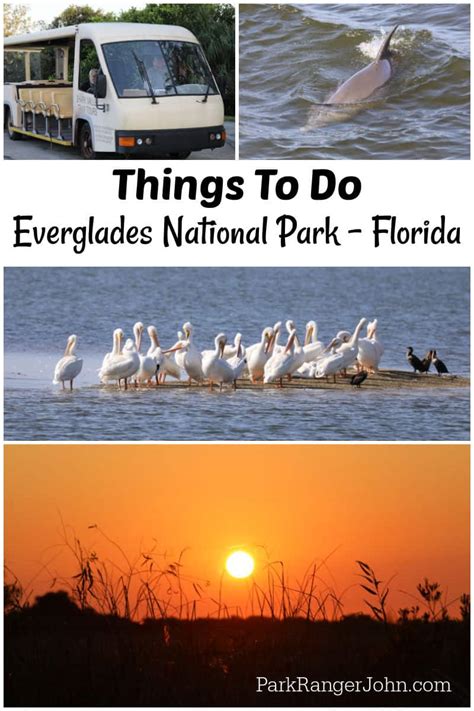 Things To Do Everglades National Park Florida Park Ranger John