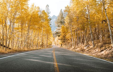 Wallpaper Road Trees Yellow Autumn Mountains Leaves Landscapes