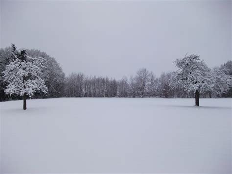 Free Images Landscape Nature Cold White Frost Weather Snowy