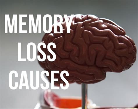 12 Common Memory Loss Causes 2021 Readementia