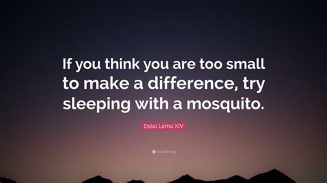 To commemorate the dalai lama meeting with president obama, let's have some fun. Dalai Lama XIV Quote: "If you think you are too small to make a difference, try sleeping with a ...