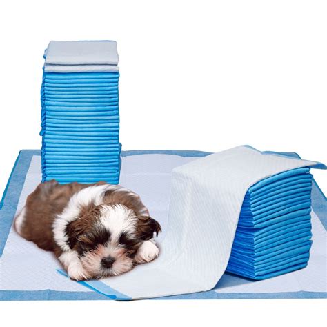 39 Best Ideas For Coloring Potty Training Puppies