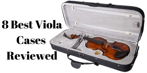 8 Best Viola Cases Reviewed In 2023
