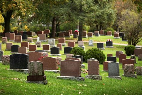 annual cemetery cleanup 2024 the catholic parish cemeteries association pittsburgh pa