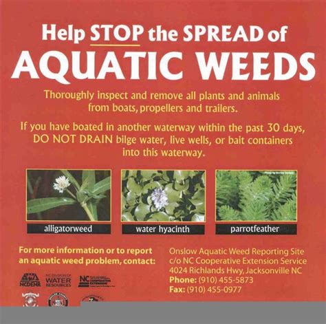 Aquatic Wetland And Invasive Plants North Carolina Cooperative Extension