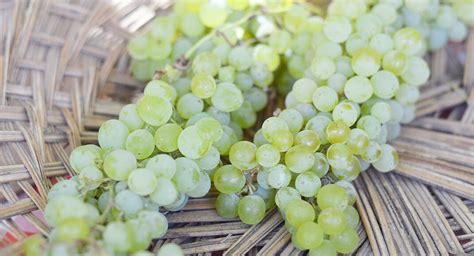 With so many different types of white wine from which to choose, you might have a difficult time deciding the types that are the best. Types Of White Wines And What They Taste Like - Vinley Market