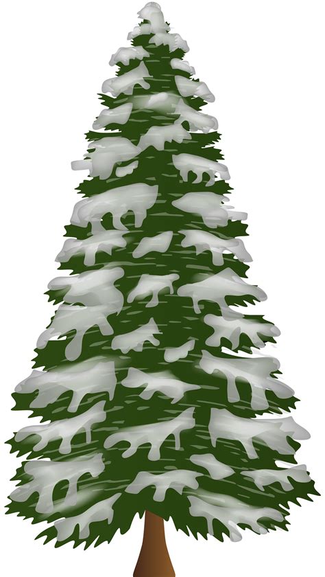 Clipart Tree Snow Clipart Tree Snow Transparent Free For