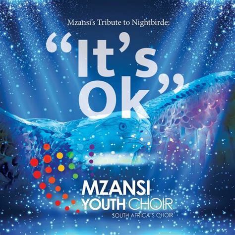 Mzansi Youth Choir Fight Song