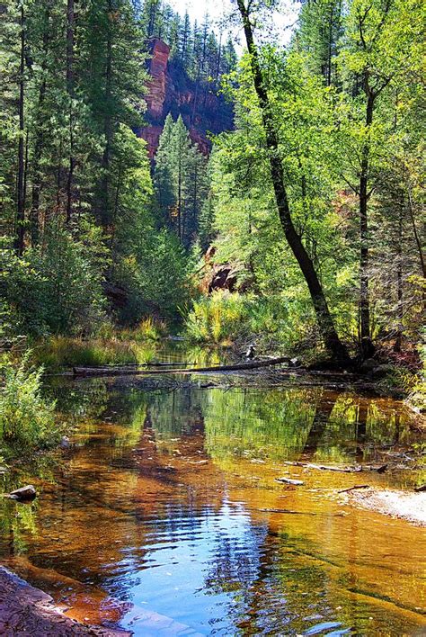 West Fork Of Oak Creek Oak Creek Canyon Sedona With Images Oak