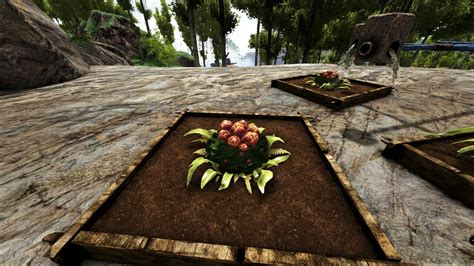 How To Get Plant Species X Seeds In Ark Survival Evolved Gamepur