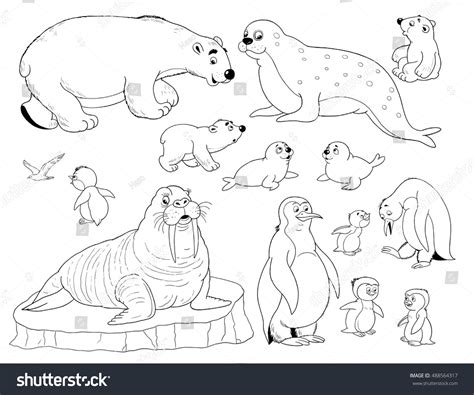 9600 Coloring Pages Arctic Animals Hd Coloring Pages Printable