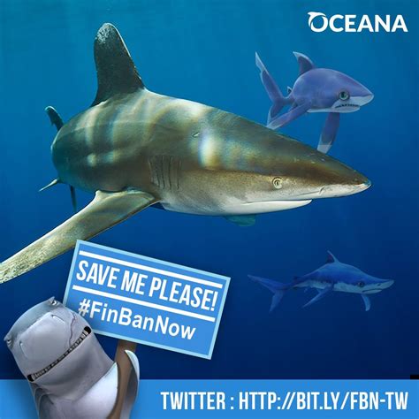 Hungry Shark World On Twitter Dont Forget To Sign The Petition To