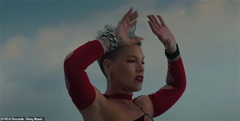 Pink Drops New Music Video For Single Trustfall As She Embarks On Tour