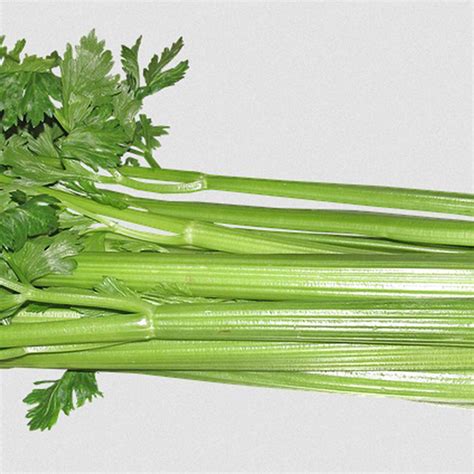 Organic Celery Each Organic To Your Door