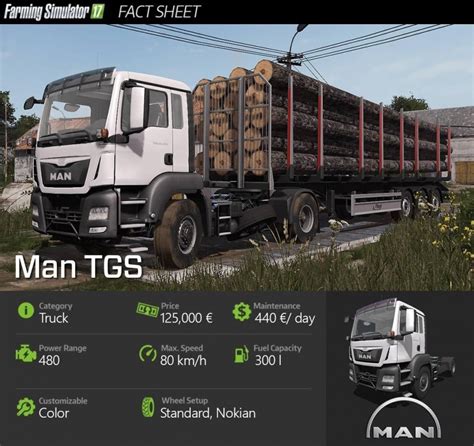 Fs Man Tgs Pack By Acr Mods Farming Simulator Mods My Xxx Hot Girl