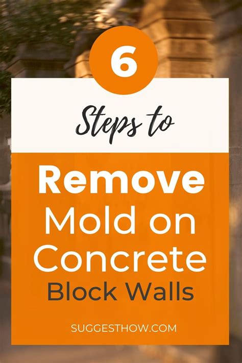 How to Get Rid of Mold on Concrete Block Walls – Step by Step Guide in
